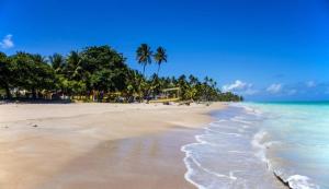 ชายหาดของเกสต์เฮาส์หรือชายหาดที่อยู่ใกล้ ๆ