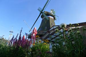 un molino de viento en la parte superior de un edificio con flores en Ferienwohnungen Engelmühle en Nordstrand