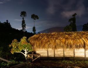 a grass roofed building with a plant next to it at Eco Hotel Glamping El Silencio in Santa Rosa de Cabal