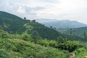 auliculiculiculiculiculiculiculiculiculiculiculiculiculiculic at Eco Hotel Glamping El Silencio in Santa Rosa de Cabal +70 photos