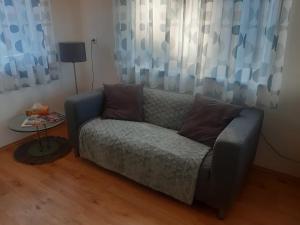 1 sofá con 2 almohadas en la sala de estar en Ferienhaus Inge, en Kirchberg an der Raab