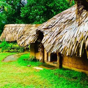 Giardino di Hasthi Safari Cottage