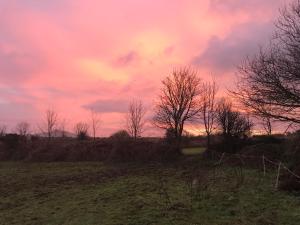 a sunset in a field with trees and a fence at Wyncliffe Hideaway in St. Davids