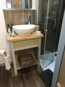 a bathroom with a sink and a shower at Wyncliffe Hideaway in St. Davids