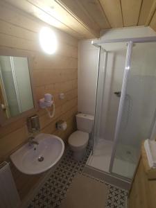 a bathroom with a shower and a toilet and a sink at Apartament NA PIĘTERKU in Rzepiska
