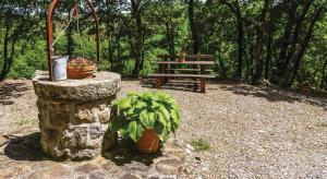 Κήπος έξω από το Agriturismo San Luciano