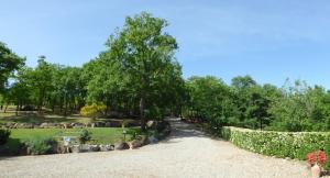 a walkway in a park with trees and grass at Agriturismo San Luciano in Radicofani