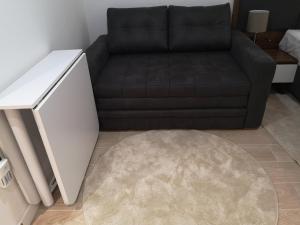 a black couch in a living room with a rug at Zoned II Kopaonik - Studio Njegomir in Kopaonik