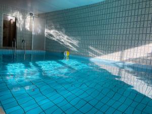 a swimming pool with a ball in the water at Capt'n Eike in Westerdeichstrich