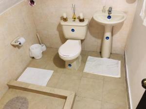 a bathroom with a toilet and a sink at El Pentagono Verde in Arcabuco