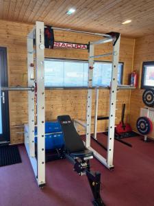Fitness centrum a/nebo fitness zařízení v ubytování Penzion Relax Litovel