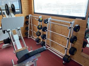 Fitness centrum a/nebo fitness zařízení v ubytování Penzion Relax Litovel