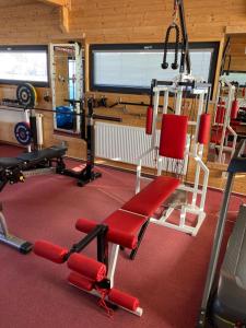 Fitness centrum a/nebo fitness zařízení v ubytování Penzion Relax Litovel