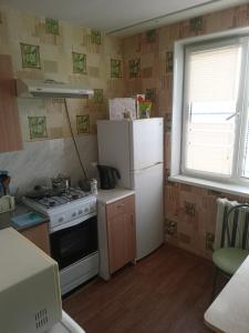 ヴォルシスキーにあるApartment on Druzhbyの小さなキッチン(コンロ、冷蔵庫付)