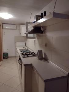 Kuchyňa alebo kuchynka v ubytovaní Apartment Primorje