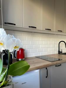 Kuchyň nebo kuchyňský kout v ubytování Apartament -Dwudziestka