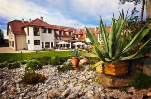 ein Haus mit Garten mit Kakteen im Hof in der Unterkunft Hotel Dudek in Mniów