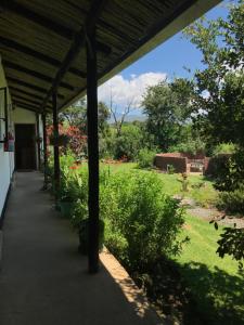 eine Veranda mit Gartenblick in der Unterkunft Sani Lodge and Backpackers Sani Pass South Africa in Sani Pass