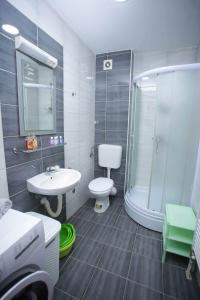 a bathroom with a toilet and a sink and a shower at Apartman Green in Lukavica +54 photos