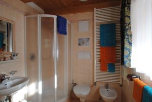 a bathroom with a shower and a toilet and a sink at Pension Mirandola in Colfosco