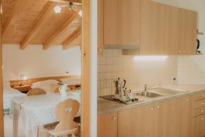 eine Küche mit einer Spüle und einer Arbeitsplatte in der Unterkunft Gogererhof App Maria in Ratschings