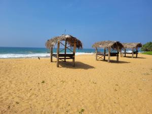 three straw umbrellas and chairs on a beach at Dreamvillage in Dodanduwa