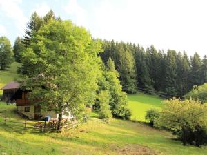 a house on a hill with a tree in a field at Chalet in Prebl Carinthia with sauna near ski area in Prebl