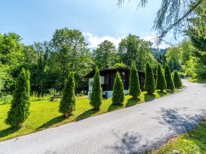 a driveway with a house and a row of trees at Lovely chalet with private garden in W rgl in Hopfgarten im Brixental