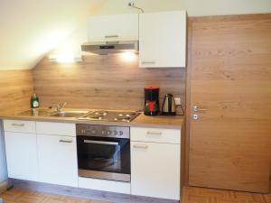 Köök või kööginurk majutusasutuses Ferienwohnung Fürstenbrunn