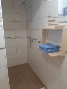 a bathroom with a shower with a blue towel at Healing Farm in Gorenja Vas