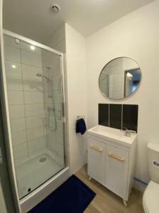 La salle de bains est pourvue d'une douche, d'un lavabo et d'un miroir. dans l'établissement NG SuiteHome - Lille I Roubaix Rémy Cogghe - Studio - Netflix - Wifi, à Roubaix