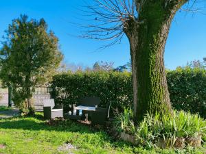 una mesa y sillas sentadas junto a un árbol en Il Tiglio B&B, en Dozza