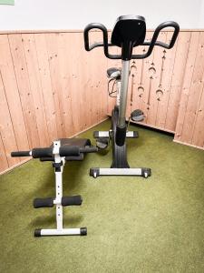 Fitness centrum a/nebo fitness zařízení v ubytování PAM Apartments