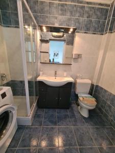 W łazience znajduje się umywalka, toaleta i prysznic. w obiekcie Appart hôtel plage des capucins w mieście La Ciotat
