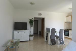 TV a/nebo společenská místnost v ubytování Andrea Apartments
