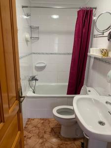 a bathroom with a toilet and a sink and a tub at Apartamento Rural Lago Ercina in Cangas de Onís