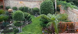 un jardin avec des buissons, des arbres et des plantes dans l'établissement Paris Hotel, à Rhodes