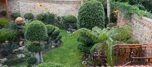 a garden with bushes and trees and plants at Paris Hotel in Rhodes Town
