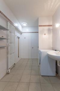 Vonios kambarys apgyvendinimo įstaigoje Gîte à Confracourt