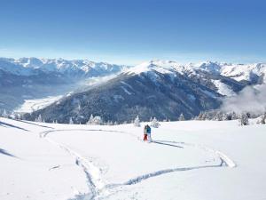 Apartment in Hollersbach near Ski Lift during the winter