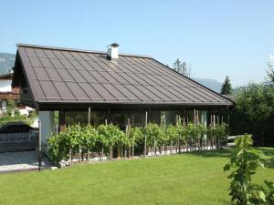 サンクト・ジョアン・イン・チロルにあるApartment in St Johann in Tyrol with a gardenの庭のブドウ畑