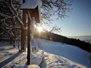 Apartment in Westendorf Tyrol with terrace om vinteren