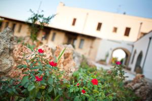 Zahrada ubytování Masseria La Duchessa