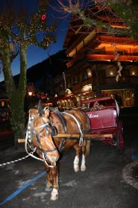 a horse pulling a carriage on a street at night at Studio Danay Accès Espace Détente Gratuit in Le Grand-Bornand