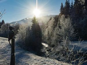 Fotografie z fotogalerie ubytování Holiday home in Leogang in ski area v Leogangu