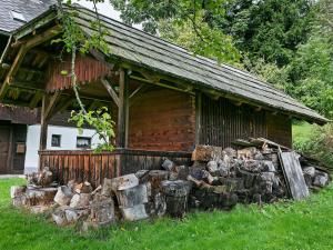 a pile of logs in front of a building at Holiday home in Arriach near a swimming lake in Arriach