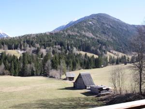 a barn in a field with a mountain in the background at Splendid Apartment in Schladming with Sauna in Schladming