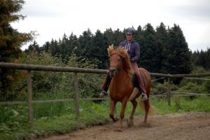 una persona montando un caballo por un camino de tierra en Landeckhof en Oberwolfach