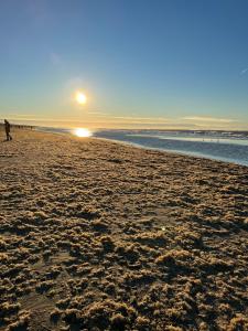 a person walking on the beach at sunset at Northgo apartment in Noordwijk
