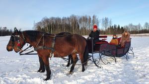 a group of people riding in a horse drawn carriage in the snow at Zirgu sēta "Klajumi" - Horse ranch "Klajumi" in Kaplava